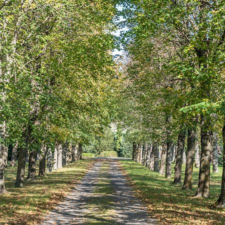 Chateau Du Chambon Cerzat Екстер'єр фото