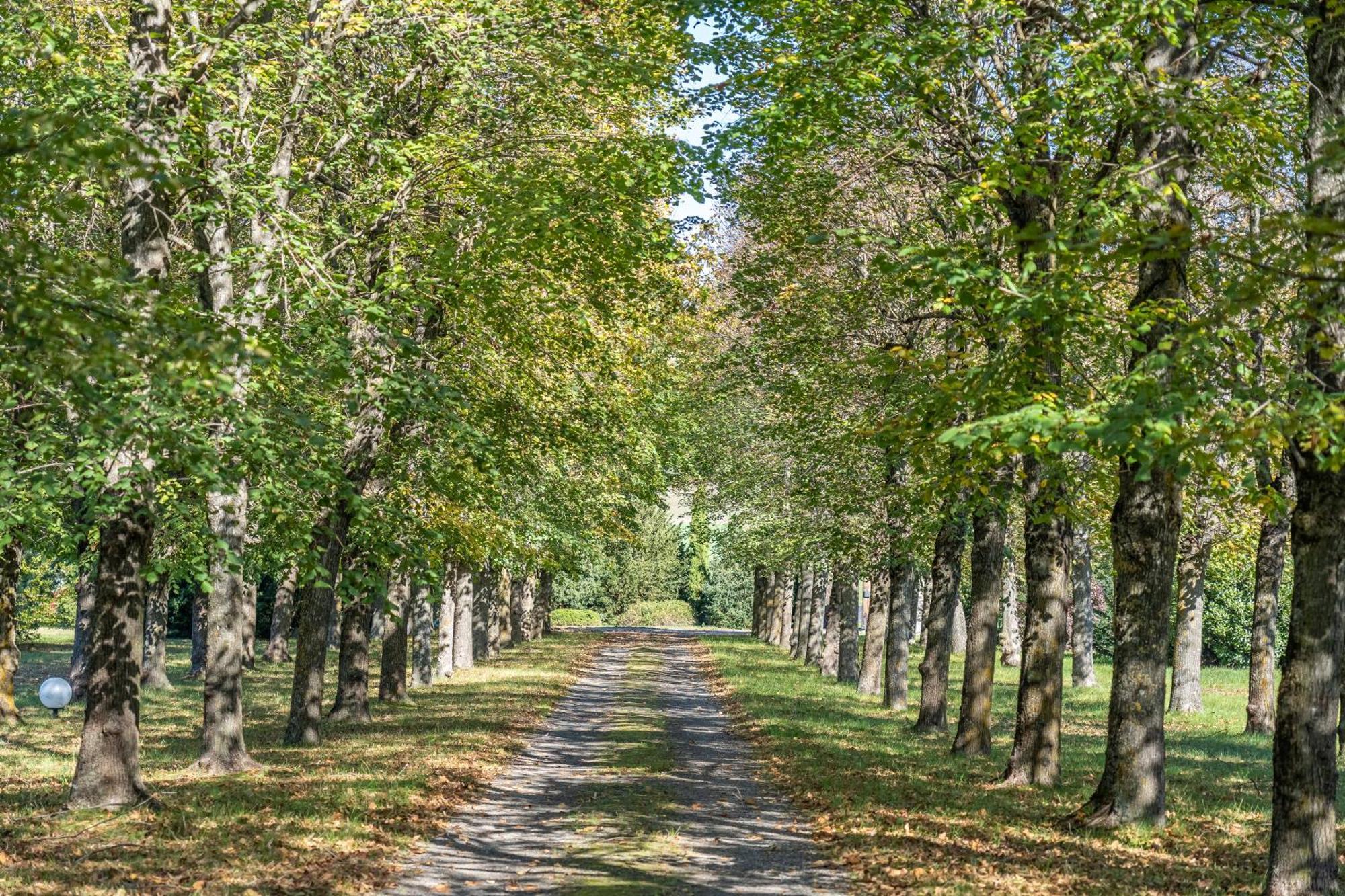 Chateau Du Chambon Cerzat Екстер'єр фото